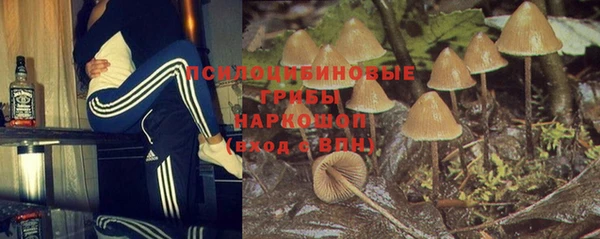 амф Белоозёрский