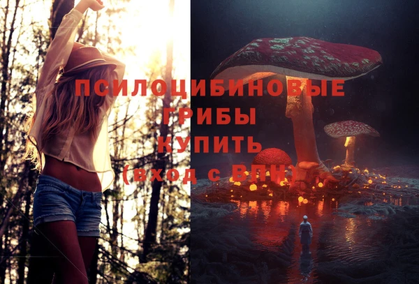 таблы Армянск