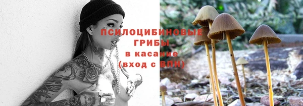 амф Белоозёрский