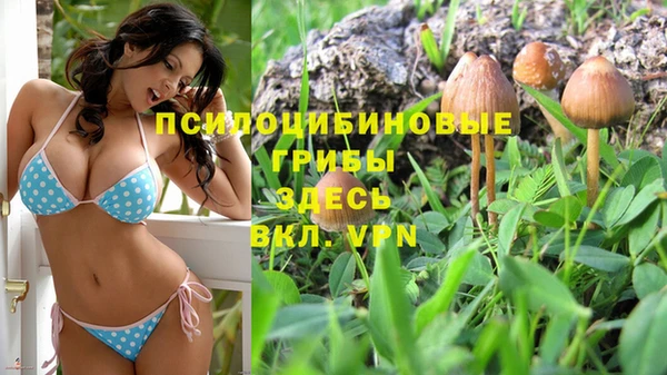амф Белоозёрский